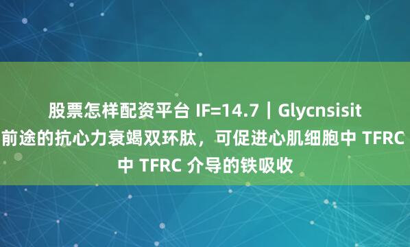 股票怎样配资平台 IF=14.7｜Glycnsisitin A：一种有前途的抗心力衰竭双环肽，可促进心肌细胞中 TFRC 介导的铁吸收