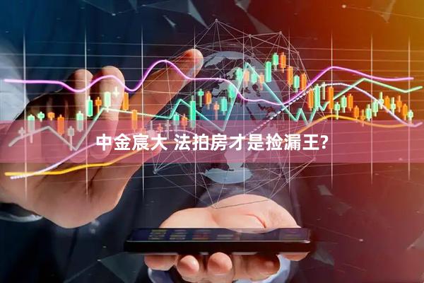 中金宸大 法拍房才是捡漏王?