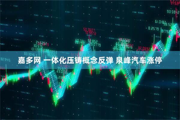嘉多网 一体化压铸概念反弹 泉峰汽车涨停