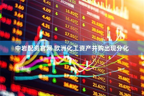 中岩配资官网 欧洲化工资产并购出现分化